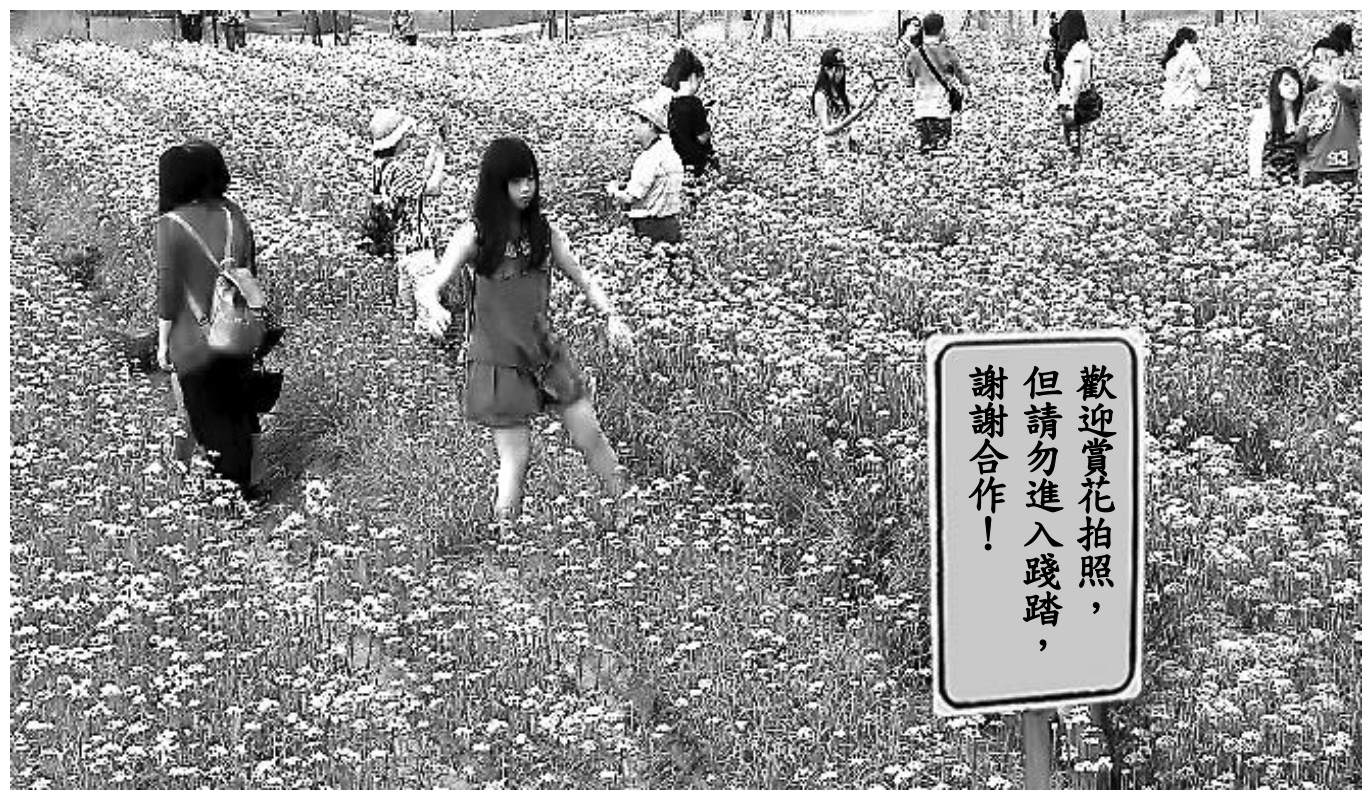 二、英文作文